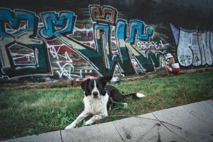 Chill out II + Graffiti Jam obrazek č. 3