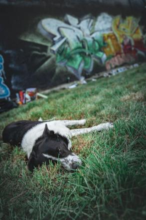 Chill out II + Graffiti Jam obrazek č. 13