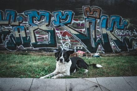 Chill out II + Graffiti Jam obrazek č. 2